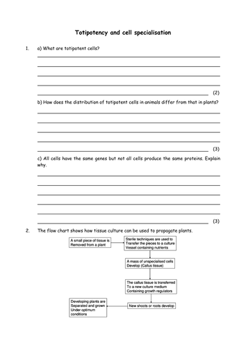 Biology: Cell specialisation