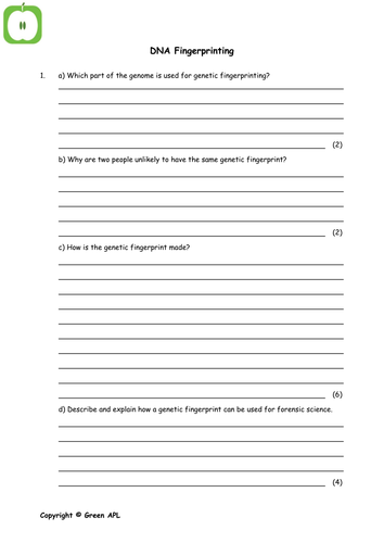 Dna Fingerprinting Worksheet Biology