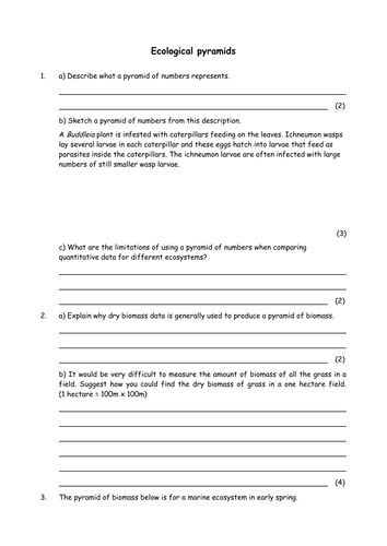Biology: Ecological pyramids
