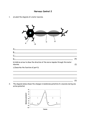 Biology: Nervous control 