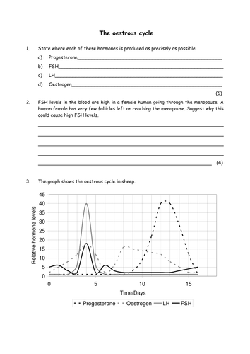 Biology: Oestrus cycle