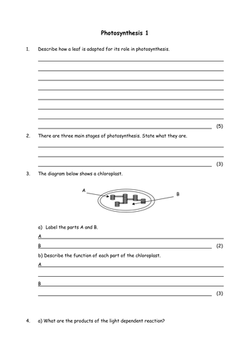 Biology: Photosynthesis 
