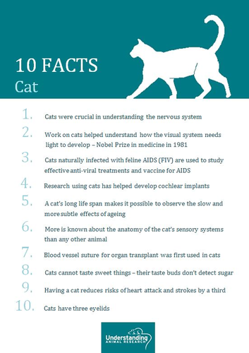 10 facts about laboratory animals