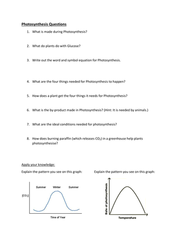 ks3 photosynthesis worksheet