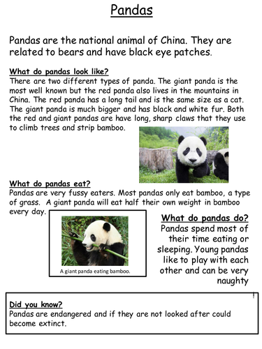 Animal Non Chronological Report Examples Teaching Resources