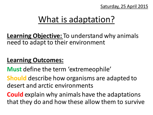 What is adaptation?