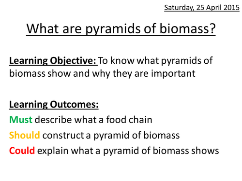 What are pyramids of biomass?