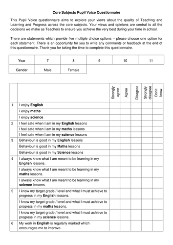 Pupil Voice Questionnaire