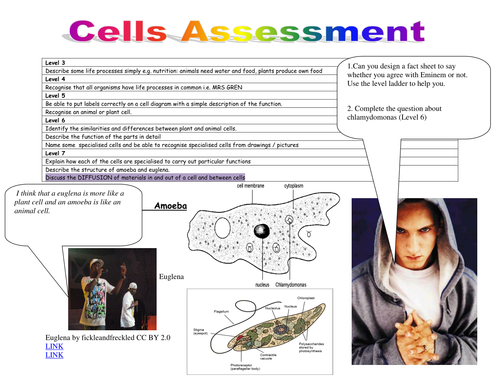 Blended assessments for KS3