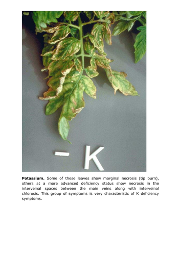 Plant Mineral Deficiency Cards