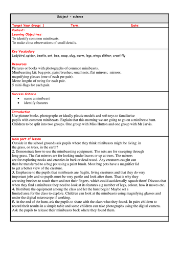Minibeast outdoor lesson plans for Year 1