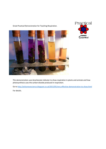 Respiration practical demonstration