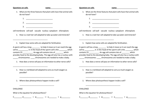 specialized cells year 7 teaching resources