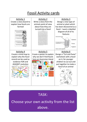 fossil q activity