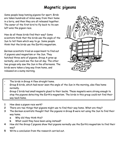 Magnets And Magnetic Fields Worksheet - Ivuyteq