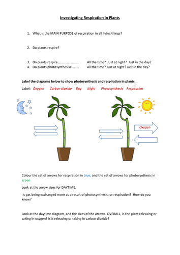 Respiration in plants - experiment using hydrogen carbonate indicator