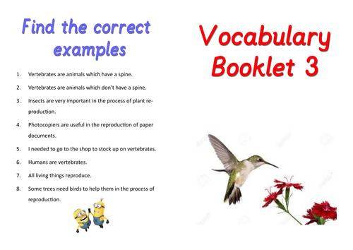 English vocab booklet 3 | Teaching Resources