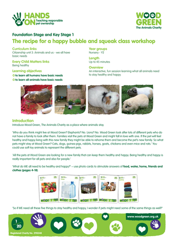 Guinea Pig Welfare - The recipe for a happy Bubble and Squeak