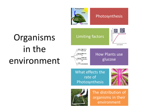 B2 2.1 Photosynthesis