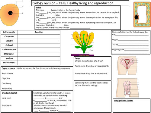 Cells, Healthy living, Forces and Magnetism revision mats