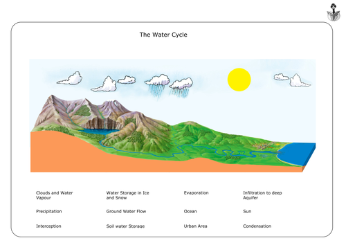 The Water Cycle