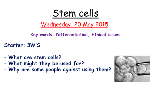 Stem cells