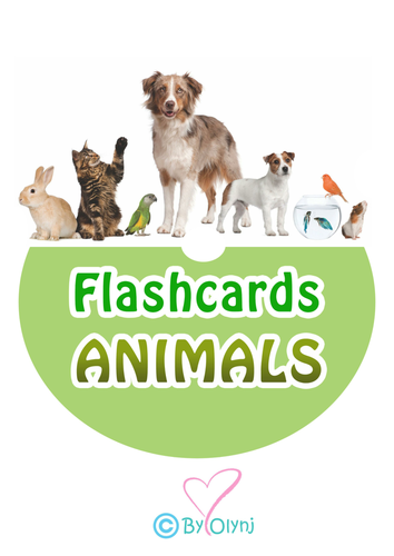 Flashcards  ANIMALS