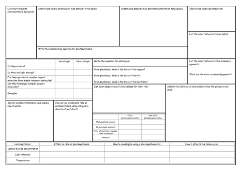 OCR A Level Biology Photosynthesis Crib Sheet