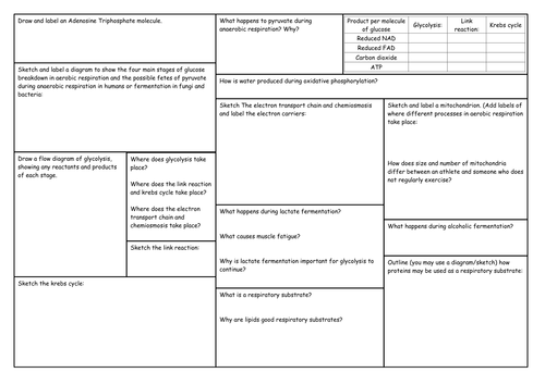 OCR A Level Biology Respiration Crib Sheet