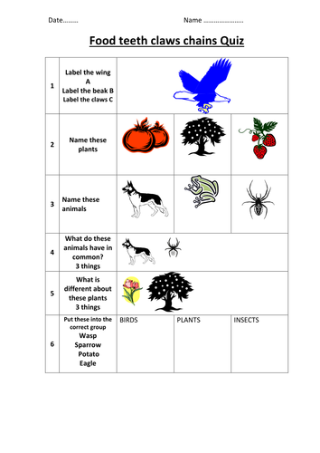 Food chains, teeth and claws