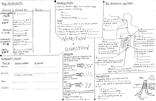 science worksheet year 9 a worksheet blog