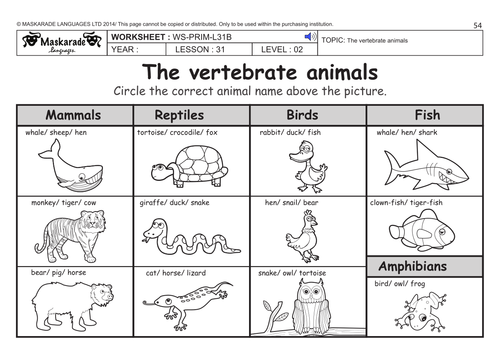 grade 2nd classification animal worksheet Vertebrate ENGLISH Level KS2 Farm by and animals 2: