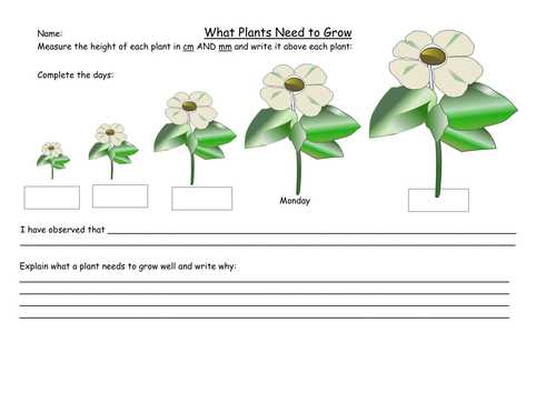 Measuring Plant Growth and Explaining Conditions 