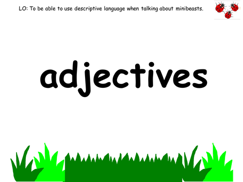 Introducing adjectives EYFS minibeast theme