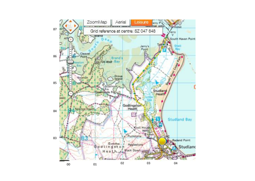 Coastal Habitats - Studland Bay Nature Reserve