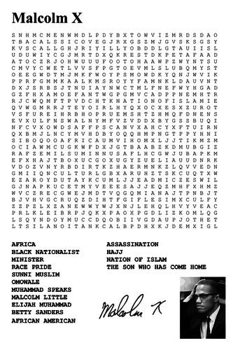 Malcolm X Word Search