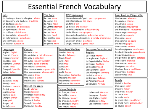 french essay vocabulary