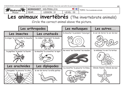 FRENCH KS2 Level 3 - KS3 (Year 7): Vertebrate and invertebrate animals
