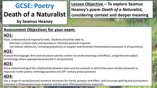 Poetry Analysis WJEC Eduqas GCSE English Literature Poetry Resources