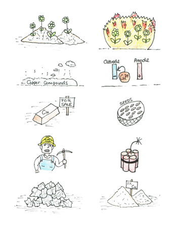 Extraction of Metals Card Sort - Phytomining and Bioleaching