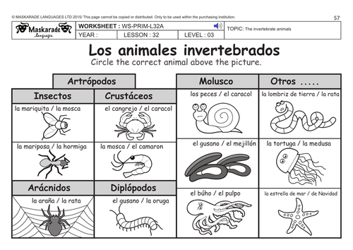 SPANISH KS2 Level 3 - KS3 (Year 7): Vertebrate and invertebrate animals