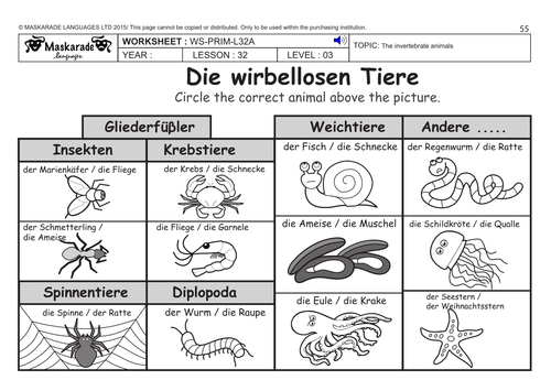 GERMAN KS2 Level 3 - KS3 (Year 7): Vertebrate and invertebrate animals