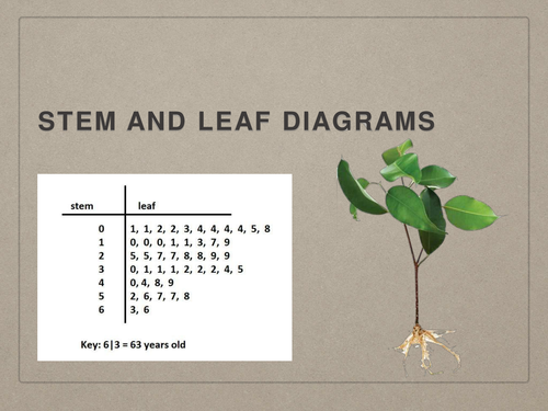 Stem And Leaf GCSE Presentation Teaching Resources