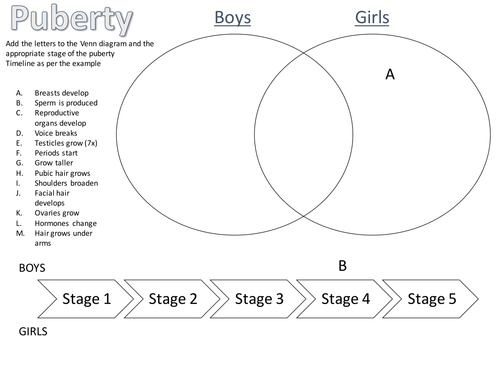 Puberty Worksheet