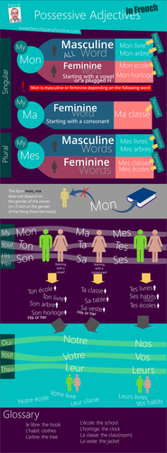 french-possessive-adjectives-teaching-resources