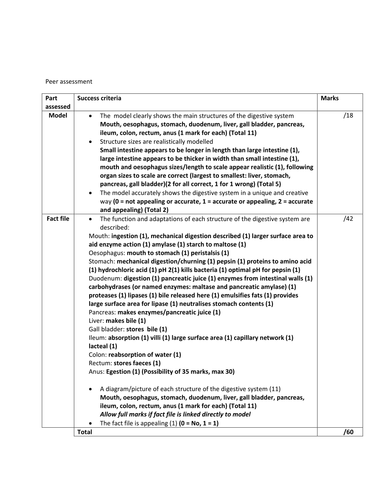 Digestive system MODEL | Teaching Resources