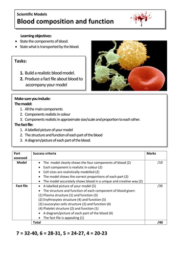 Blood MODEL