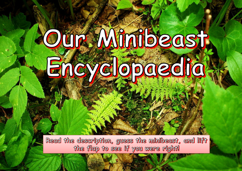 Make a Class Minibeast Encyclopaedia