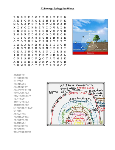 Ecology Key Words Wordsearch | Teaching Resources