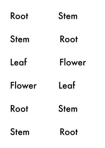 Vegetables as plants resources 